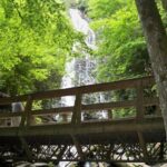 Mingo Falls