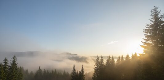 3 Overlooks Around North Carolina That You Shouldn’t Miss scenic overlook along Blue Ridge Parkway