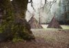 A Lookback At The Native Americans In North Carolina Traditional native american ceremonial lodging